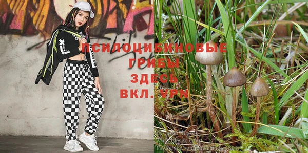 прущая мука Осташков