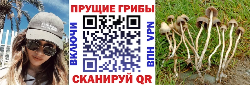 Псилоцибиновые грибы MAGIC MUSHROOMS  Шали 