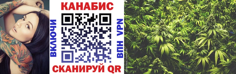 Канабис ГИДРОПОН  Шали 